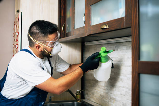 Best Pest Inspection Near Me  in Semmes, AL