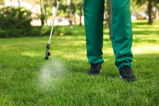 Best Ant Control Services  in Semmes, AL