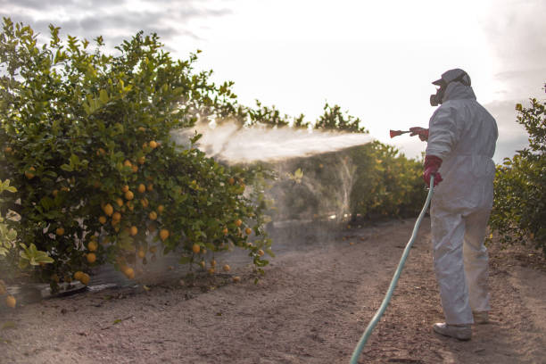 Trusted Semmes, AL Pest Control Experts