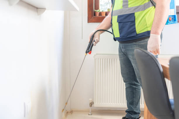 Best Wasp Removal Services  in Semmes, AL