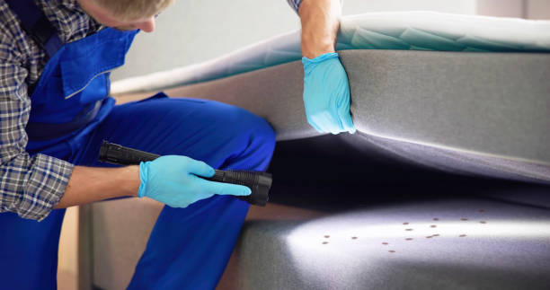 Best Cockroach Control Services  in Semmes, AL
