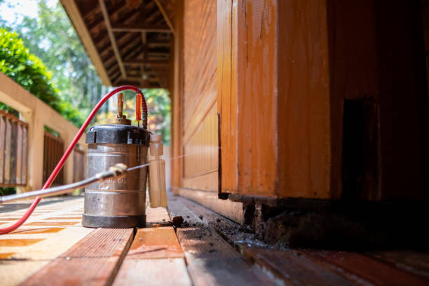 Best Commercial Pest Control Services  in Semmes, AL