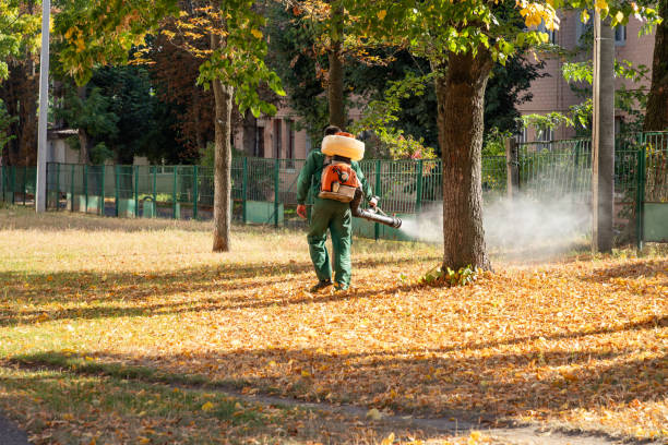 Best Residential Pest Control  in Semmes, AL