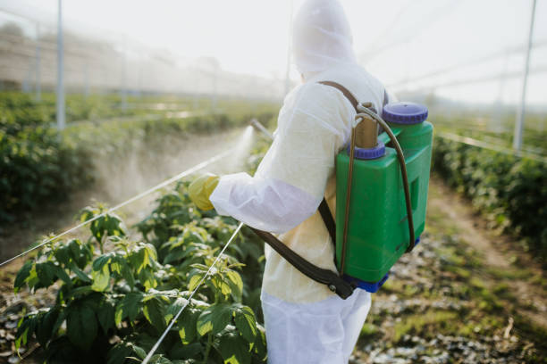Best Local Pest Control Services  in Semmes, AL